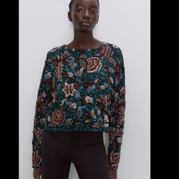 BNWT! Zara limited edition  Embroidered  sweater - Picture 4 of 7